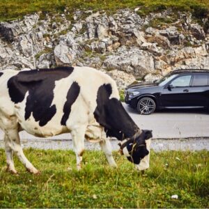 Nowe BMW X5 xDrive45e typu Plug-in